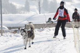 Lenk 2012 SM